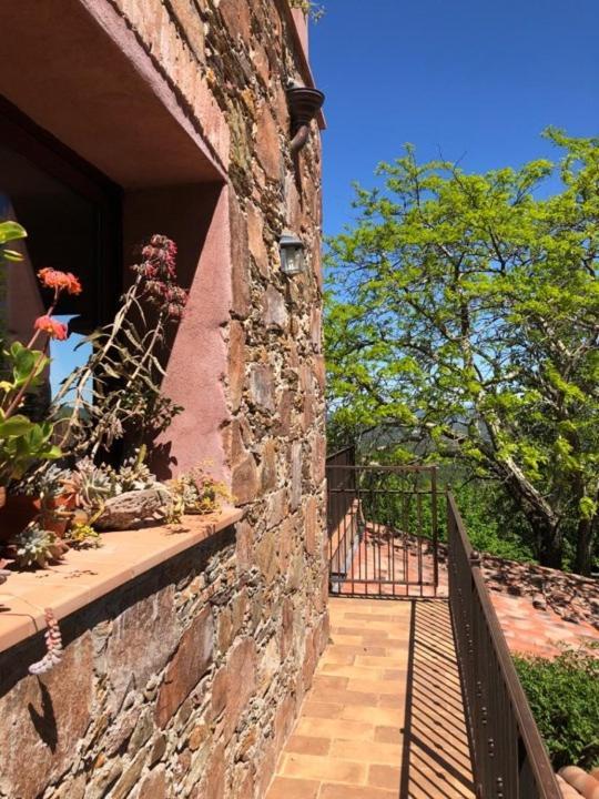 Bed&breakfast La Maison De Nathalie Les Mayons Exterior foto