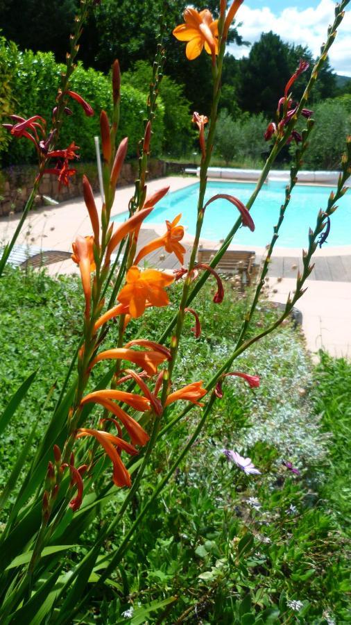 Bed&breakfast La Maison De Nathalie Les Mayons Exterior foto